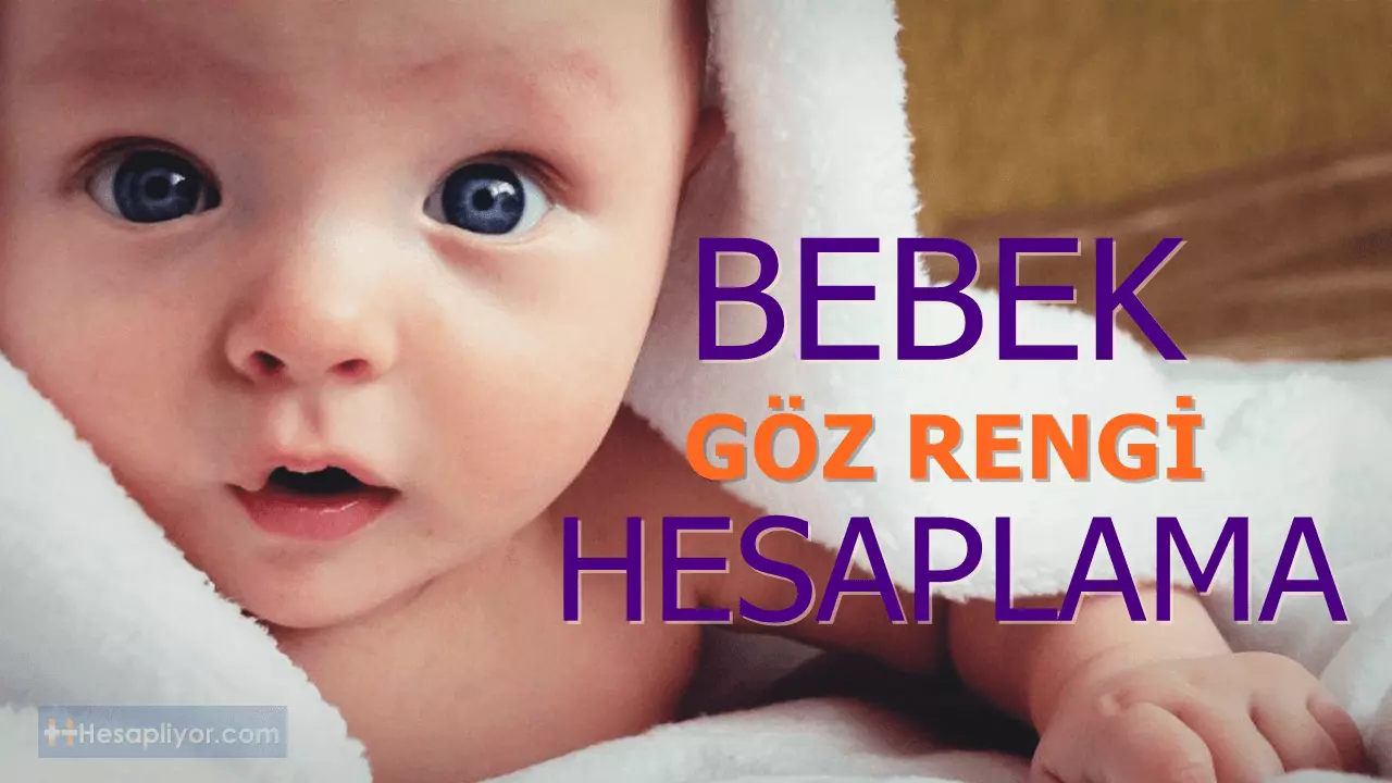 Bebek Göz Rengi Hesaplama